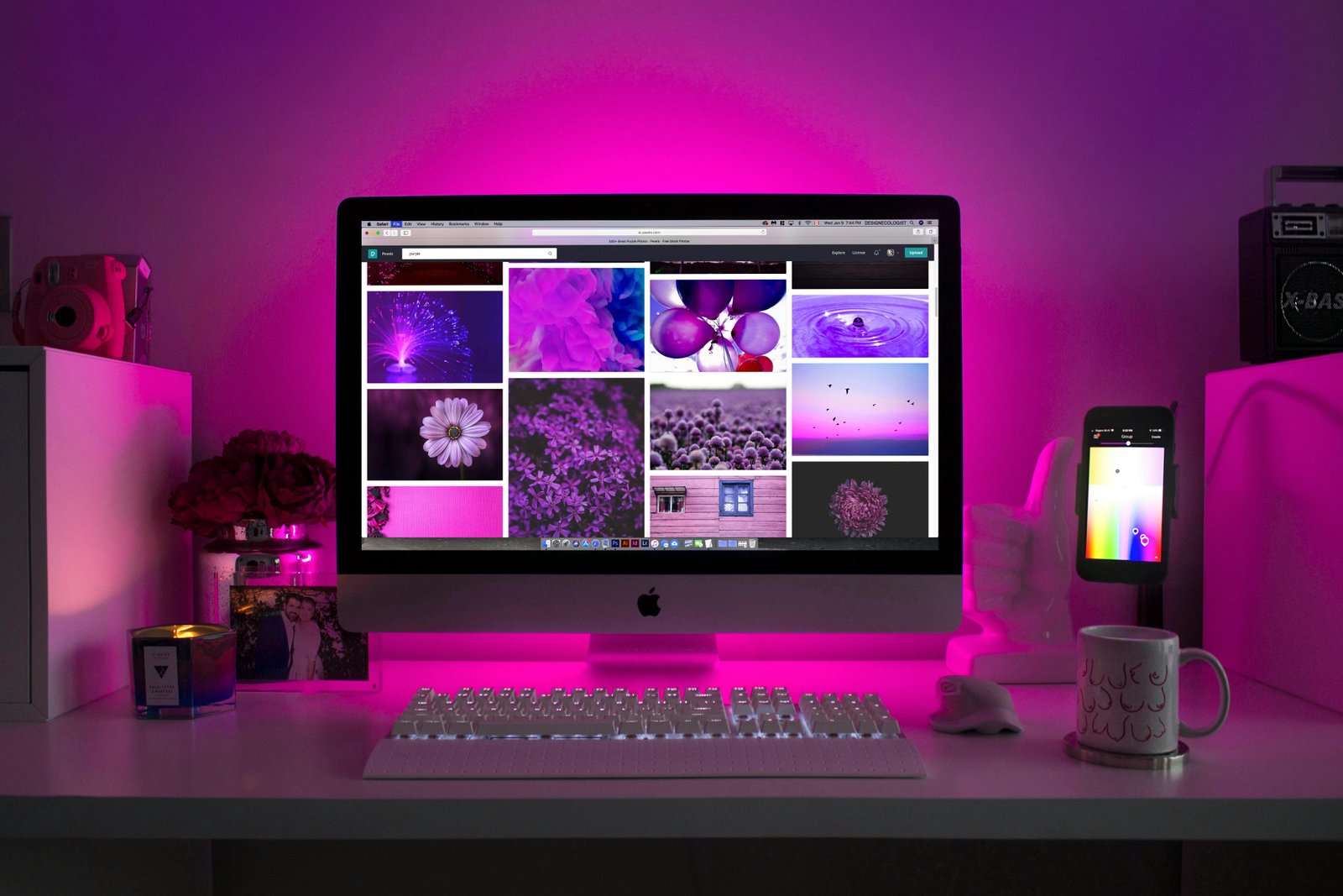 Filenod WordPress Development